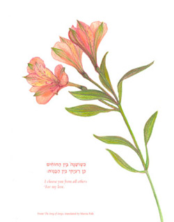 alstroemeria